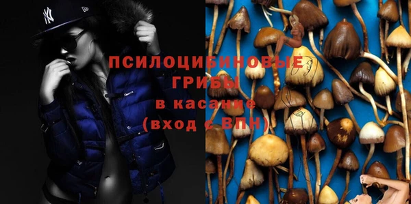 гидропоника Ельня